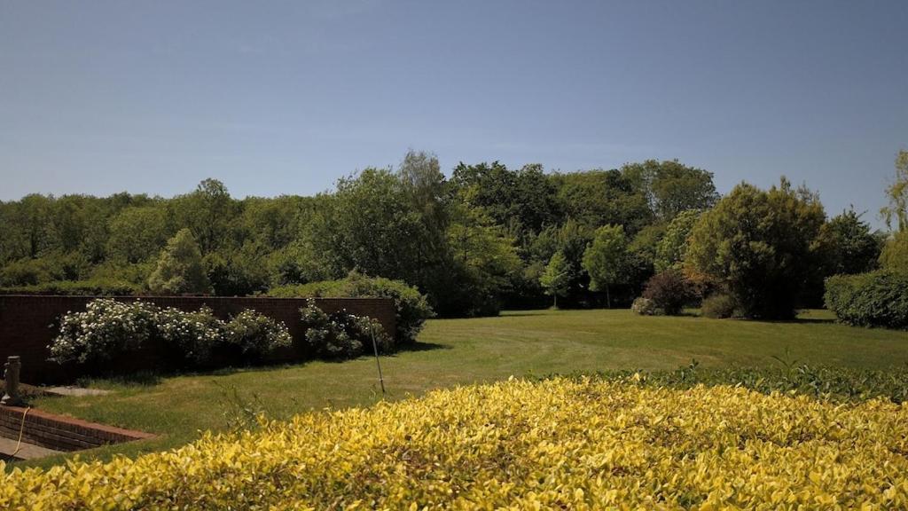 Paddock Barn ~ Short & Long Term Stay, Pets Welcome ~ Woodbridge, Framlingham Ar Cretingham Eksteriør billede