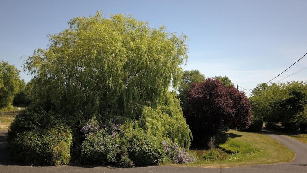 Paddock Barn ~ Short & Long Term Stay, Pets Welcome ~ Woodbridge, Framlingham Ar Cretingham Eksteriør billede